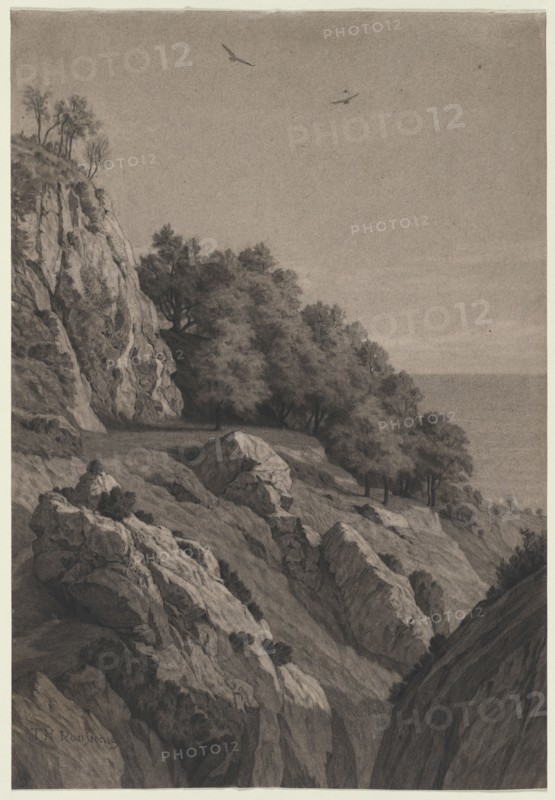 Rocky Cliff on a Coast, c. 1850-1860. Anonymous. Black chalk (stumped); sheet: 45.4 x 31.2 cm (17 7/8 x 12 5/16 in.).