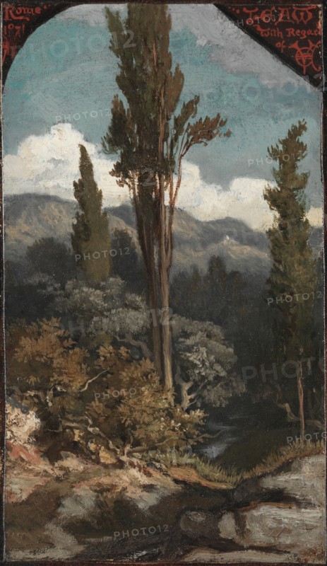 Three Trees: Italy, 1871. Elihu Vedder (American, 1836-1923). Oil on card on canvas; unframed: 22 x 12.7 cm (8 11/16 x 5 in.).