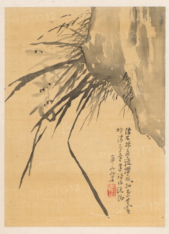 Orchid, 19th century. Watanabe Kazan (Japanese, 1793-1841). Album leaf; ink on ivory silk; sheet: 26.3 x 19.1 cm (10 3/8 x 7 1/2 in.).