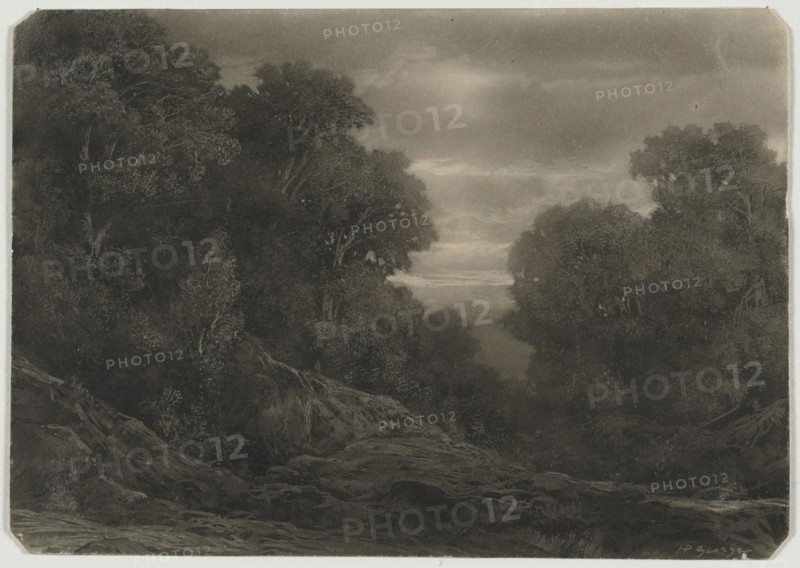 Landscape with Trees. Jean-Philippe George (Swiss, 1818-1888). Sepia wash heightened with white