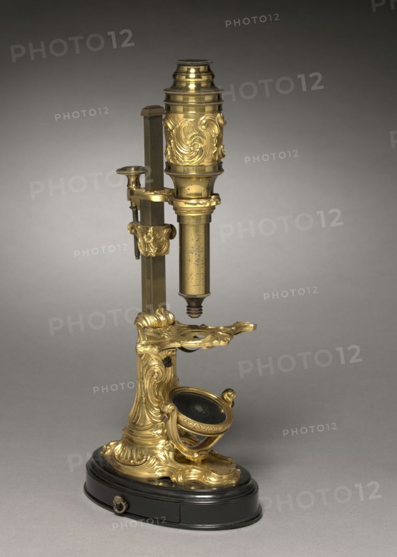 Microscope, c. 1745- 1765. France, mid-18th century. Gilt bronze mounts; overall: 28.6 x 15.4 x 11.5 cm (11 1/4 x 6 1/16 x 4 1/2 in.).