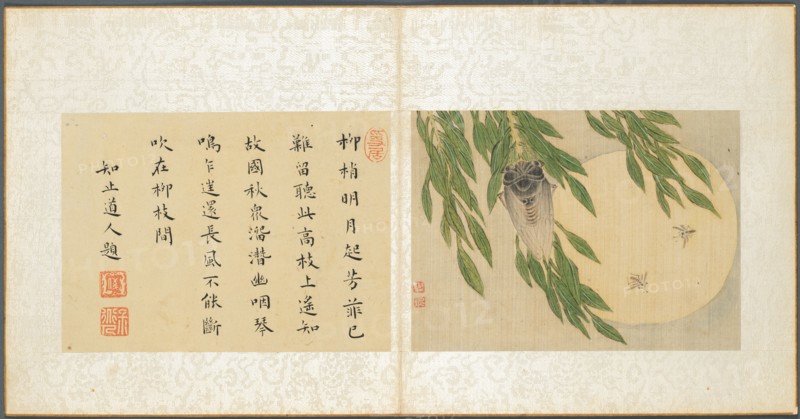 Album of Miscellaneous Subjects, Leaf 6, 1600s. Fan Qi (Chinese, 1616-aft 1694). Album leaf, ink and color on silk; image: 12.6 x 17.3 cm (4 15/16 x 6 13/16 in.); overall: 21 x 22 cm (8 1/4 x 8 11/16 in.).