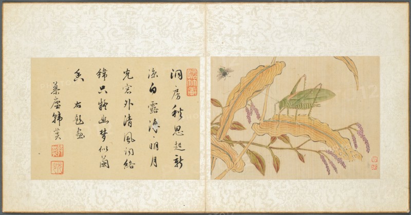 Album of Miscellaneous Subjects, Leaf 7, 1600s. Fan Qi (Chinese, 1616-aft 1694). Album leaf, ink and color on silk; image: 12.6 x 17.3 cm (4 15/16 x 6 13/16 in.); overall: 21 x 22 cm (8 1/4 x 8 11/16 in.).