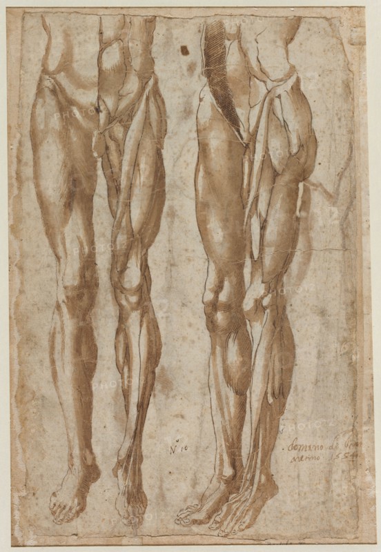 Two Studies of a Flayed Man, 1554. Bartolommeo da Arezzo (Italian, 1578). Pen and brown ink and brush and brown wash over black chalk; incised (both figures) and pricked (left figure); sheet: 40.5 x 27.6 cm (15 15/16 x 10 7/8 in.).