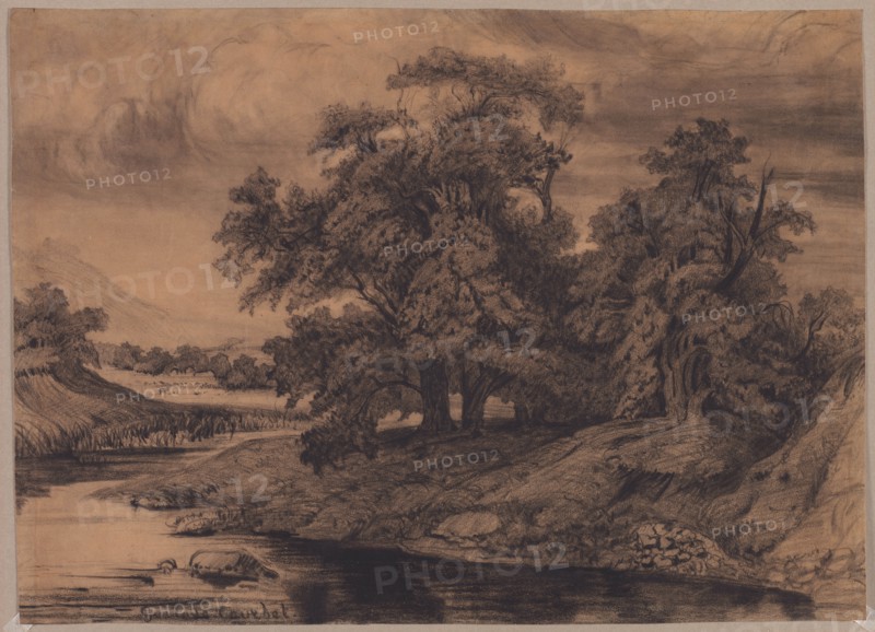 Landscape with Large Trees, late 1860s/early 1870s. Gustave Courbet (French, 1819-1877). Black crayon (stumped in sky); sheet: 38.1 x 52.9 cm (15 x 20 13/16 in.).