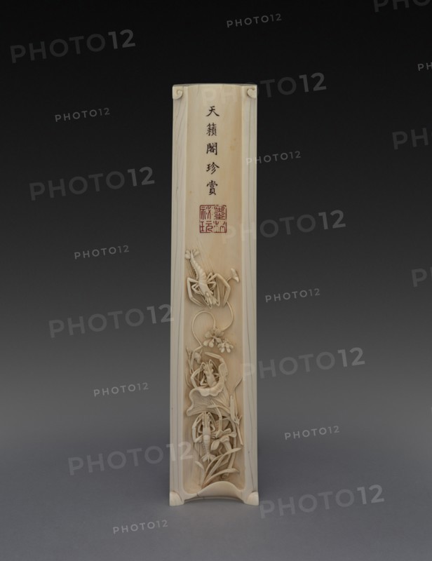 Wrist-Rest with Crayfish and Water Plants, 18th century. China, Qing dynasty (1644-1911). Ivory and polychrome pigment; overall: 6 cm (2 3/8 in.)