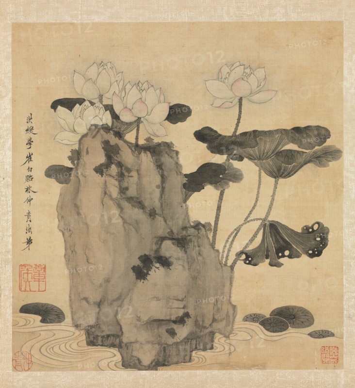 Paintings after Ancient Masters: Lotus and Rocks, 1598-1652. Chen Hongshou (Chinese, 1598/99-1652). Album leaf, ink and color on silk; overall: 30.2 x 26.7 cm (11 7/8 x 10 1/2 in.).