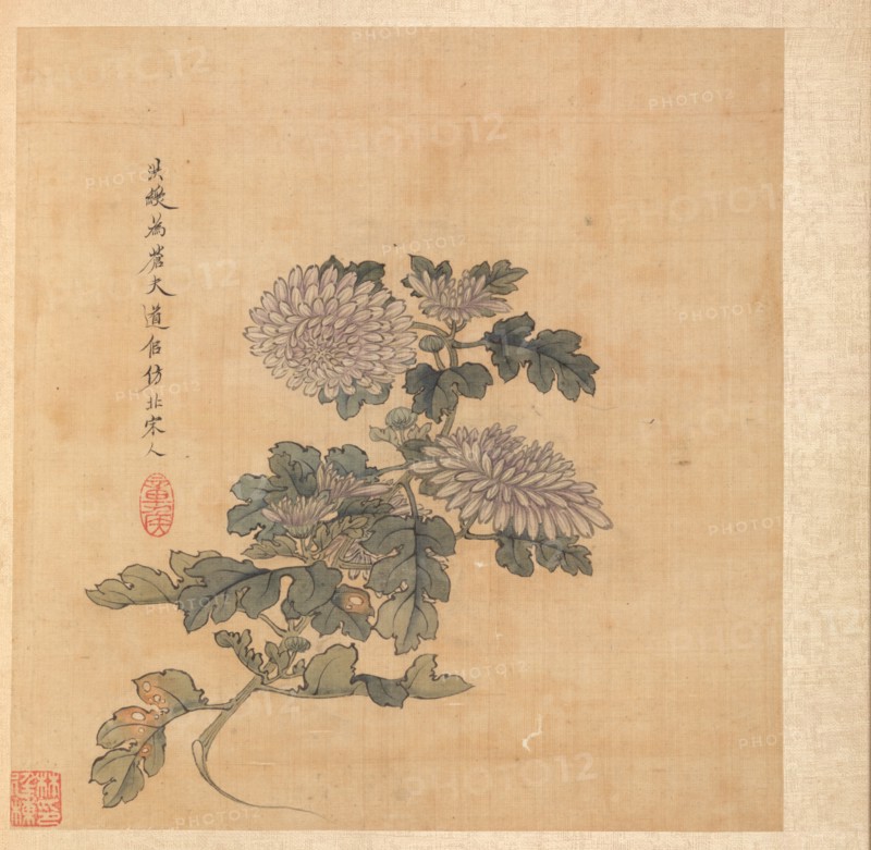 Paintings after Ancient Masters: Chrysanthemum, 1598-1652. Chen Hongshou (Chinese, 1598/99-1652). Album leaf, ink and color on silk; overall: 30.2 x 26.7 cm (11 7/8 x 10 1/2 in.).