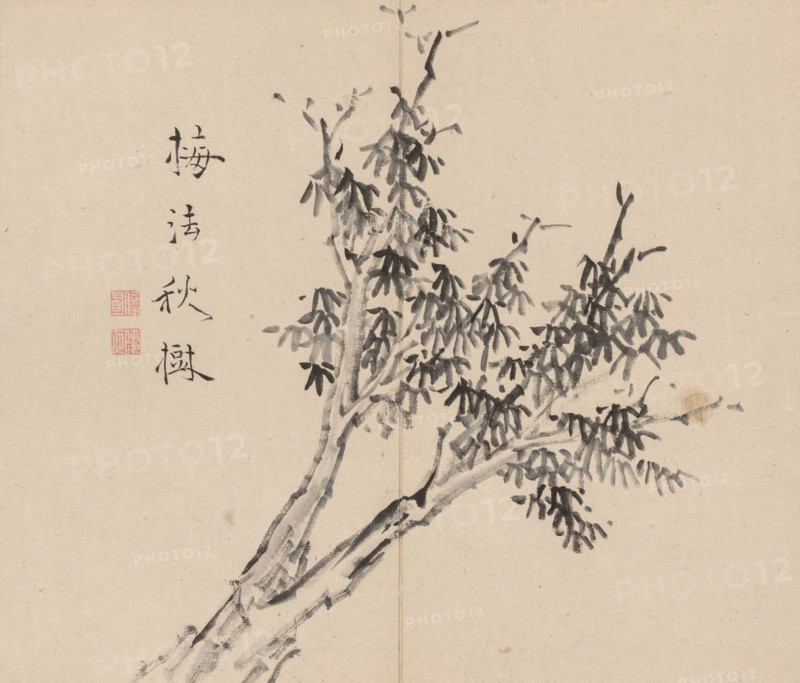 Double Album of Landscape Studies after Ikeno Taiga, Volume 1 (leaf 3), 18th century. Aoki Shukuya (Japanese, 1789). Pair of albums; ink, or ink and light color on paper; album, closed: 28.3 x 33 cm (11 1/8 x 13 in.).