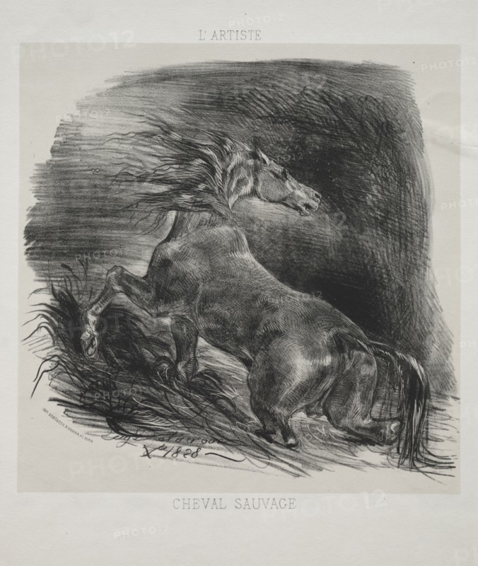 The Wild Horse, or Frightened Horse Leaving the Water, 1828. Eugène Delacroix (French, 1798-1863), L'Artiste. Lithograph with beige tint stone; sheet: 36.1 x 27.4 cm (14 3/16 x 10 13/16 in.); image: 23 x 23.9 cm (9 1/16 x 9 7/16 in.)