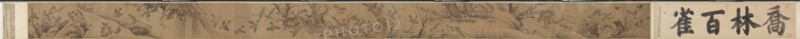 A Hundred Sparrows in a Lofty Grove  (Qiaolin baique tu), 1368-1644. Attributed to Lin Liang (Chinese, 1416-1480). Handscroll, ink on silk; overall: 28.6 x 498.2 cm (11 1/4 x 196 1/8 in.).