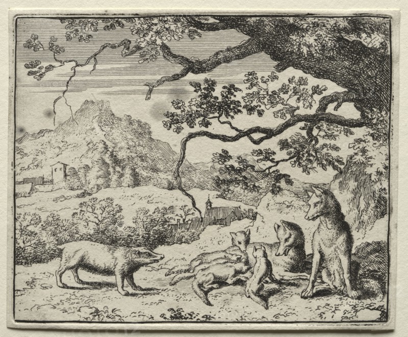 Reynard the Fox:  The Badger Calls Reynard to Court. Allart van Everdingen (Dutch, 1621-1675). Etching