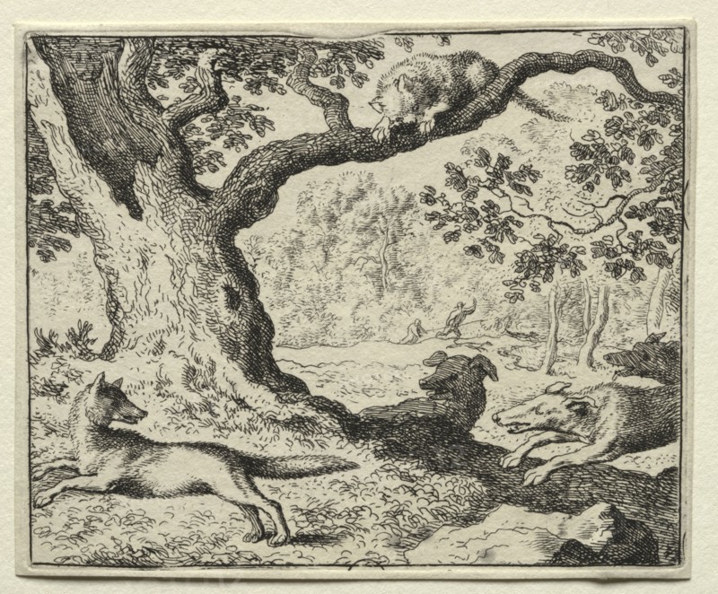 Reynard the Fox:  The Disloyal Cat. Allart van Everdingen (Dutch, 1621-1675). Etching