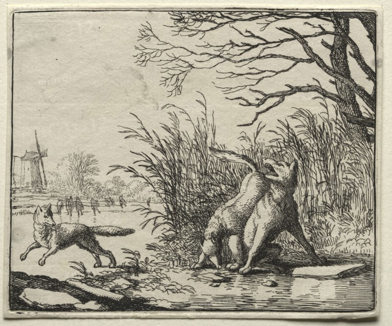 Reynard the Fox:  A New Accusation by the Wolf. Allart van Everdingen (Dutch, 1621-1675). Etching