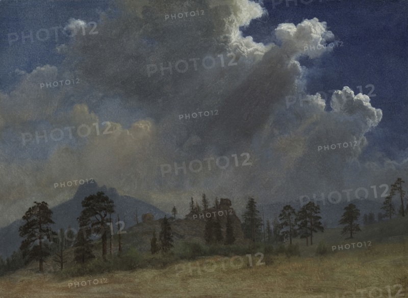 Fir Trees and Storm Clouds, c. 1870. Albert Bierstadt (American, 1830-1902). Oil on paper mounted on canvas; unframed: 35 x 47 cm (13 3/4 x 18 1/2 in.).