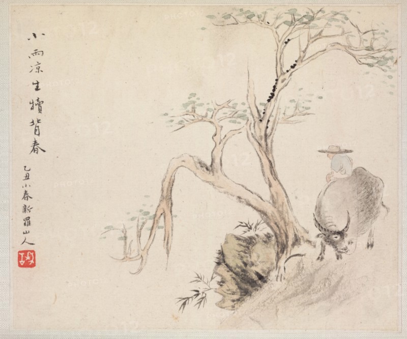 Album of Landscape Paintings Illustrating Old Poems: A Man Sits on a Water Buffalo, 1700s. Hua Yan (Chinese, 1682-about 1765). Album leaf, ink and light color on paper; image: 11.2 x 13.1 cm (4 7/16 x 5 3/16 in.); album, closed: 15 x 18.5 cm (5 7/8 x 7 5/16 in.).