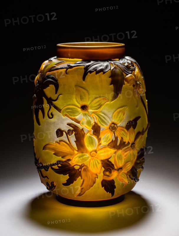 Vase. Emile Gallé (French, 1846-1904). Glass;