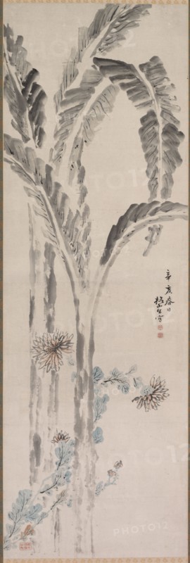 Banana Plant and Chrysanthemum (?), 19th century. Tsubaki Chinzan (Japanese, 1801-1854). Hanging scroll; ink and color on paper; painting only: 139.2 x 46.2 cm (54 13/16 x 18 3/16 in.); including mounting: 225.4 x 70.5 cm (88 3/4 x 27 3/4 in.).