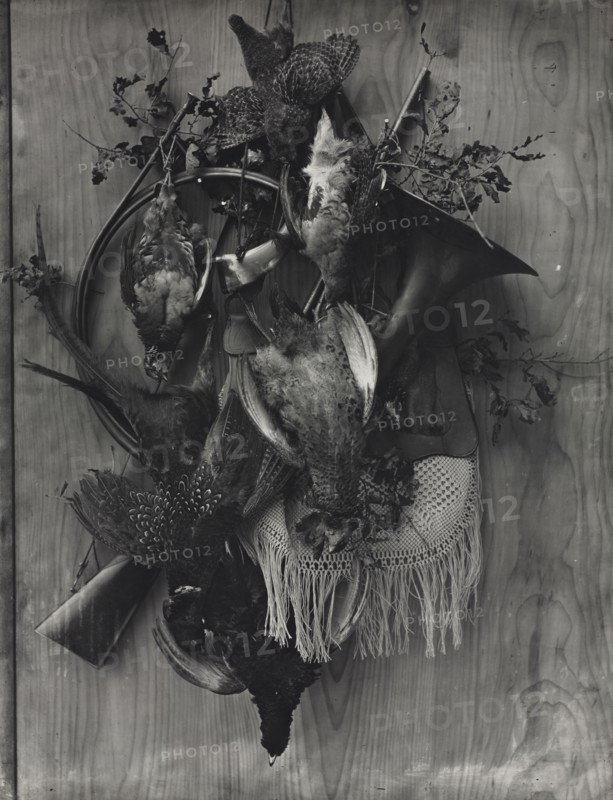 Trophy of the Hunt, c. 1867. Adolphe Braun (French, 1812-1877). Carbon print; image: 78 x 59.8 cm (30 11/16 x 23 9/16 in.); framed: 99.7 x 79.4 cm (39 1/4 x 31 1/4 in.)