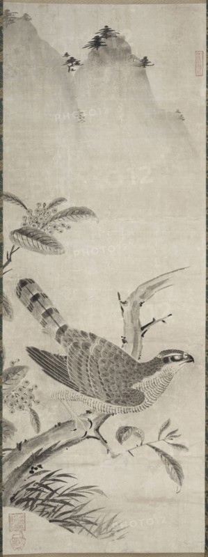 Hawk, mid 1500s. Masayoshi Fujiwara (Japanese). Hanging scroll; ink on paper; painting only: 119.6 x 44.1 cm (47 1/16 x 17 3/8 in.); including mounting: 209.4 x 64.1 cm (82 7/16 x 25 1/4 in.).