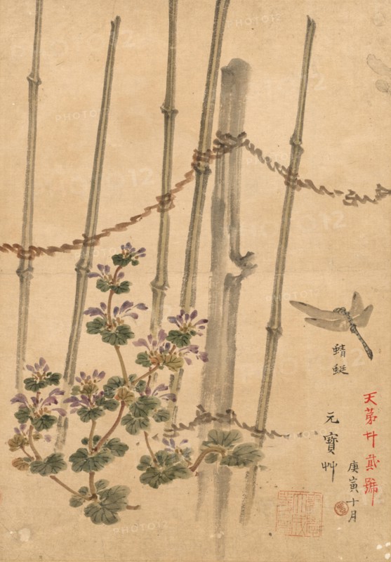 Bamboo Fence and Chrysanthemums, c. 1890. Kono Bairei (Japanese, 1844-1895). Ink and color on paper;