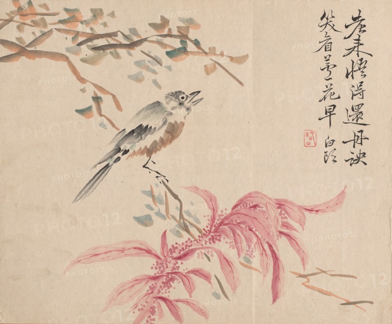 Strawberry Spinach and Nightingale. Tsubaki Chinzan (Japanese, 1801-1854). Watercolor on paper; sheet: 28 x 34.4 cm (11 x 13 9/16 in.).