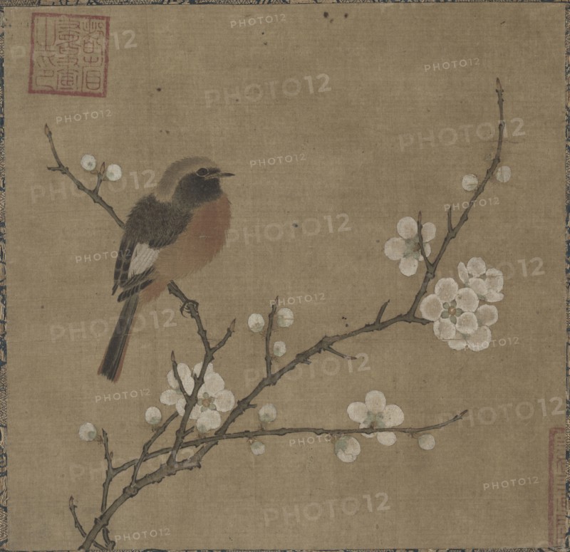 Bird on a Flowering Branch, 1100s. China, Southern Song dynasty (1127-1279). Album leaf mounted as a hanging scroll, ink and color on silk; painting: 23.8 x 24.5 cm (9 3/8 x 9 5/8 in.); overall: 117 x 41.7 cm (46 1/16 x 16 7/16 in.).