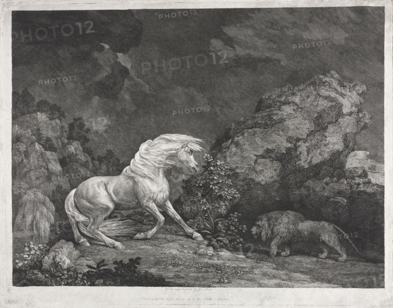 A Horse Frightened by a Lion, 1777. George Stubbs (British, 1724-1806). Etching and engraving