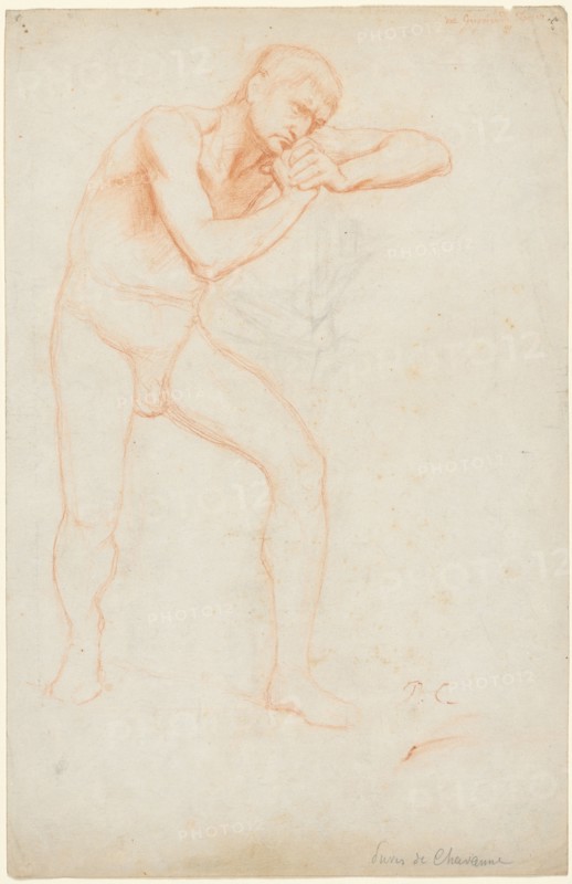 Male Nude, 1891. Pierre Puvis de Chavannes (French, 1824-1898). Red chalk and traces of black chalk; sheet: 35.9 x 23.2 cm (14 1/8 x 9 1/8 in.).