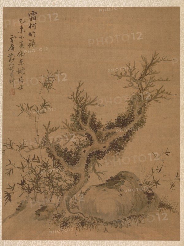 Frosted Branches and Dwarf Bamboo, in the Style of Su Shih, 1775. Zhai Dakun (Chinese, d. 1804). Album leaf: ink and color on silk; overall: 41.2 x 31.5 cm (16 1/4 x 12 3/8 in.).