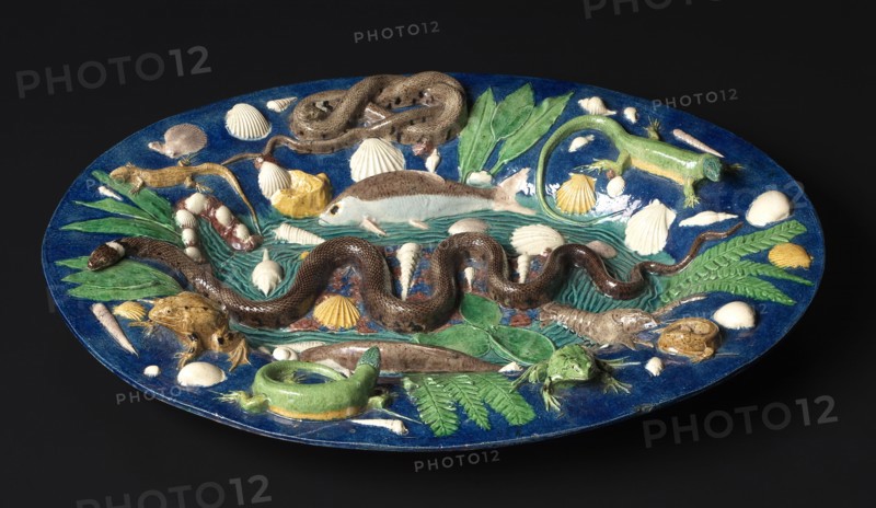 Platter, late 1500s. Circle of Bernard Palissy (French, 1510-1589). Lead-glazed earthenware; overall: 49 x 40 cm (19 5/16 x 15 3/4 in.).
