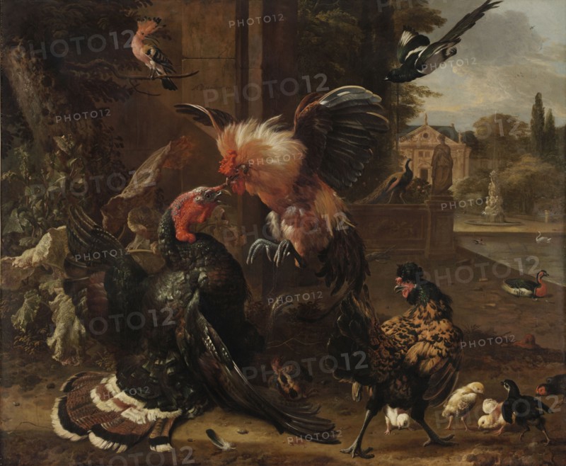 A Rooster and Turkey Fighting, c. 1680. Melchior de Hondecoeter (Dutch, 1636-1695). Oil on canvas; framed: 164.5 x 193 x 10 cm (64 3/4 x 76 x 3 15/16 in.); unframed: 137.2 x 166.4 cm (54 x 65 1/2 in.).