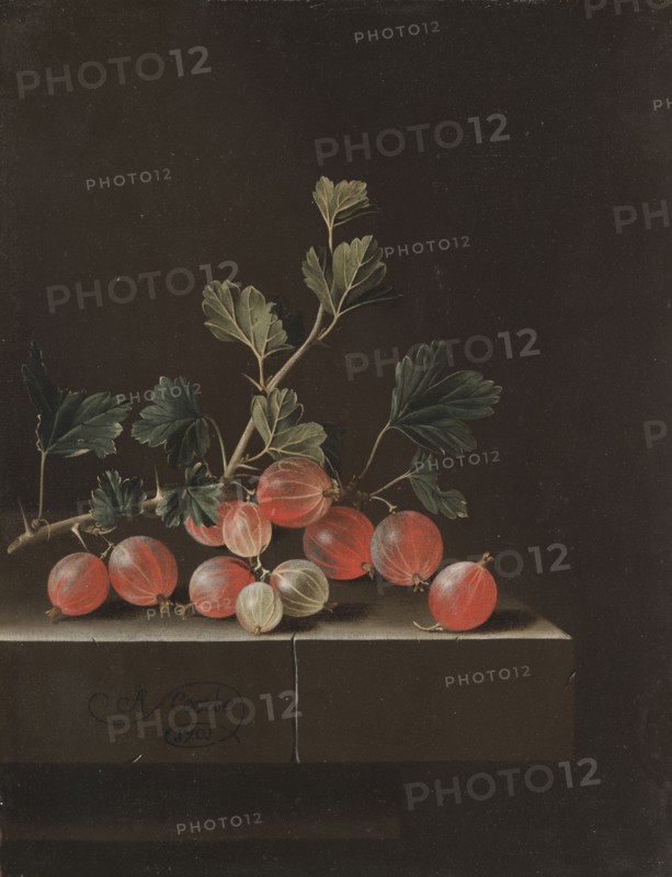 Gooseberries on a Table, 1701. Adriaen Coorte (Dutch, c. 1660-aft 1707). Oil on paper mounted on wood; framed: 45.5 x 38.5 x 4.5 cm (17 15/16 x 15 3/16 x 1 3/4 in.); unframed: 29.7 x 22.8 cm (11 11/16 x 9 in.).
