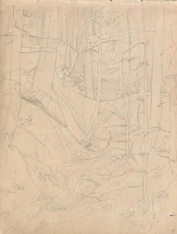 Album with Views of Rome and Surroundings, Landscape Studies, page 01a: Roman Landscape. Franz Johann Heinrich Nadorp (German, 1794-1876). Graphite;