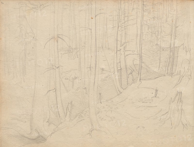 Album with Views of Rome and Surroundings, Landscape Studies, page 01b: Roman Landscape. Franz Johann Heinrich Nadorp (German, 1794-1876). Graphite;