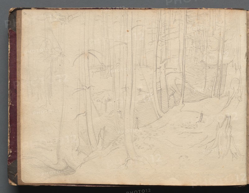 Album with Views of Rome and Surroundings, Landscape Studies, page 01b: Roman Landscape. Franz Johann Heinrich Nadorp (German, 1794-1876). Graphite;