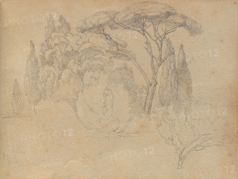 Album with Views of Rome and Surroundings, Landscape Studies, page 29a: Landscape Study. Franz Johann Heinrich Nadorp (German, 1794-1876). Graphite on brown paper;