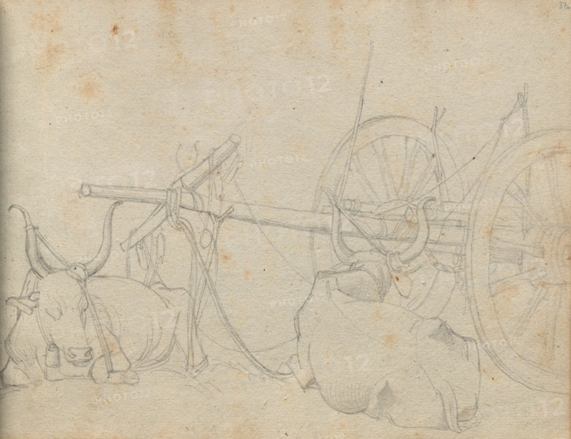 Album with Views of Rome and Surroundings, Landscape Studies, page 37a: Oxen and Wagon. Franz Johann Heinrich Nadorp (German, 1794-1876). Graphite