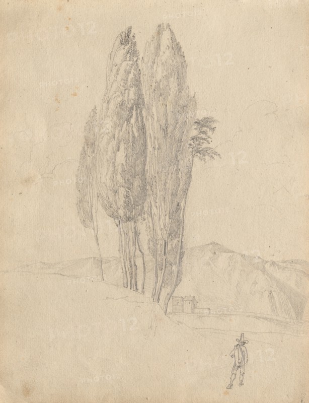 Album with Views of Rome and Surroundings, Landscape Studies, page 20a: Trees. Franz Johann Heinrich Nadorp (German, 1794-1876). Graphite