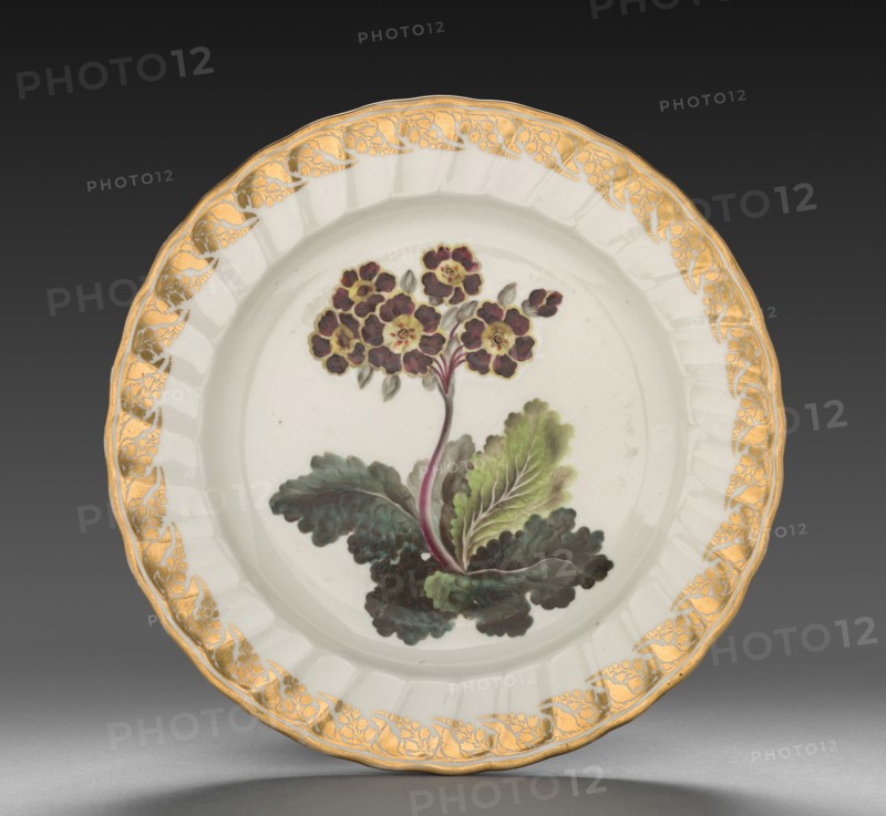 Plate from Dessert Service: Polyanthus, c. 1800. Derby (Crown Derby Period) (British). Porcelain; diameter: 23.6 cm (9 5/16 in.); overall: 3.4 cm (1 5/16 in.).