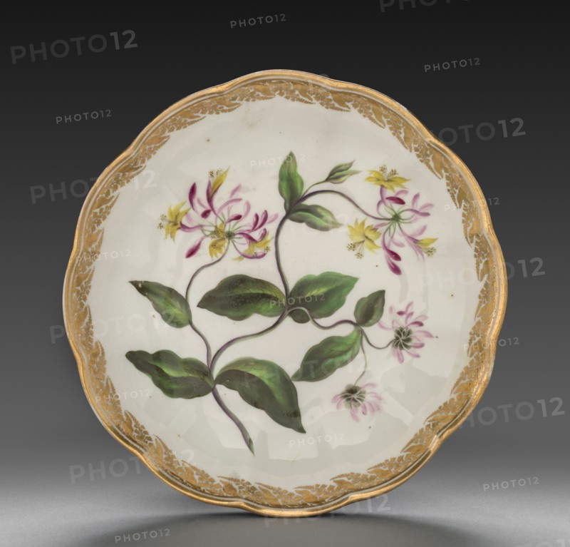 Bowl from Dessert Service: Dutch Honeysuckle, c. 1800. Derby (Crown Derby Period) (British). Porcelain; diameter: 22.6 cm (8 7/8 in.); overall: 5 cm (1 15/16 in.).