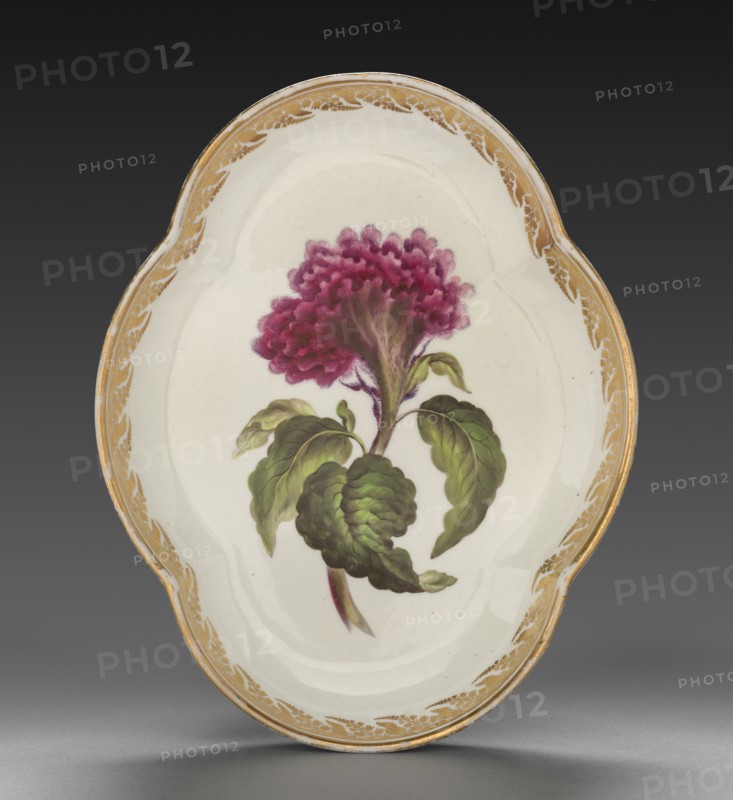 Quatrelobed Dish from Dessert Service: Coxcomb, c. 1800. Derby (Crown Derby Period) (British). Porcelain; overall: 4 x 15.5 x 20.4 cm (1 9/16 x 6 1/8 x 8 1/16 in.).