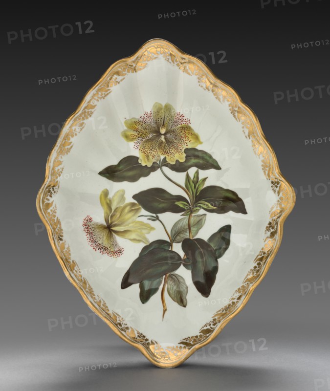Lozenge Shaped Dish from Dessert Service: Large Flowered St. John's Wort, c. 1800. Derby (Crown Derby Period) (British). Porcelain; overall: 5.6 x 30.5 x 23.7 cm (2 3/16 x 12 x 9 5/16 in.).