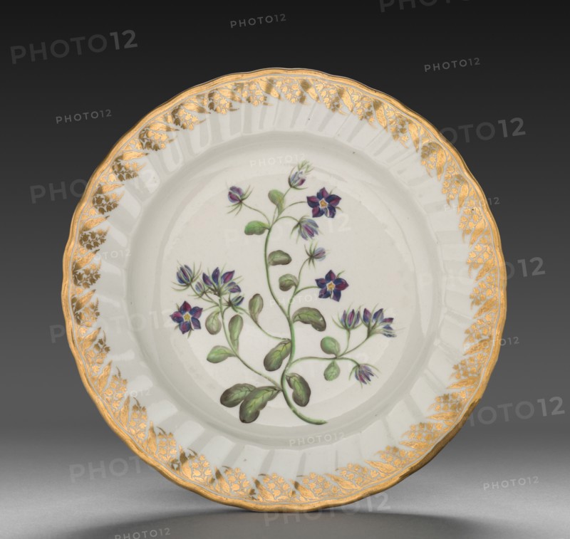 Plate from Dessert Service: Venus Looking Glass, c. 1800. Derby (Crown Derby Period) (British). Porcelain; diameter: 23.5 cm (9 1/4 in.).