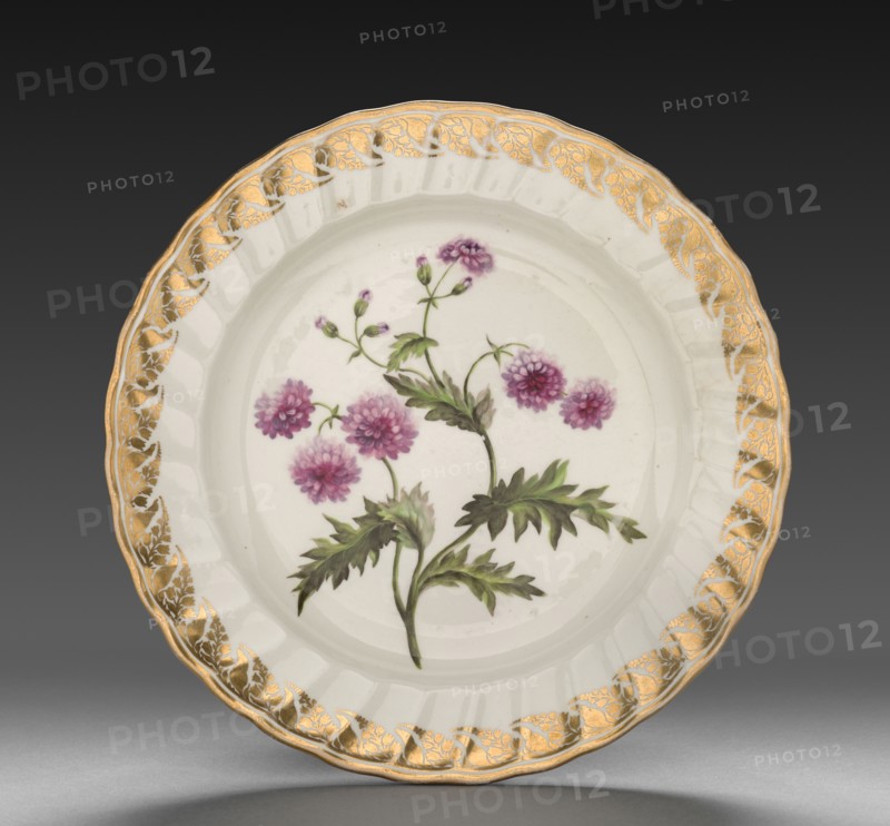 Plate from Dessert Service: Double Groundsell or Ragwort, c. 1800. Derby (Crown Derby Period) (British). Porcelain; diameter: 23.5 cm (9 1/4 in.); overall: 3.2 cm (1 1/4 in.).