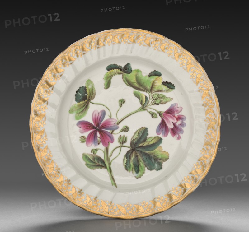 Plate from Dessert Service: Marsh Mallow, c. 1800. Derby (Crown Derby Period) (British). Porcelain; diameter: 23.4 cm (9 3/16 in.); overall: 3.1 cm (1 1/4 in.).