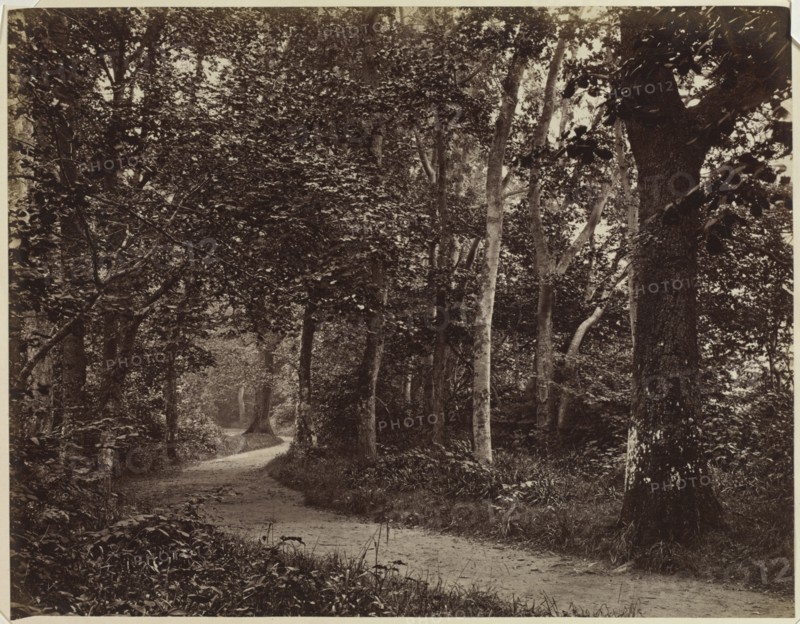 Untitled (Landscape), early 1860s. Unidentified Photographer. Albumen print from wet collodion negative; image: 18.7 x 24.2 cm (7 3/8 x 9 1/2 in.); matted: 35.6 x 45.7 cm (14 x 18 in.)