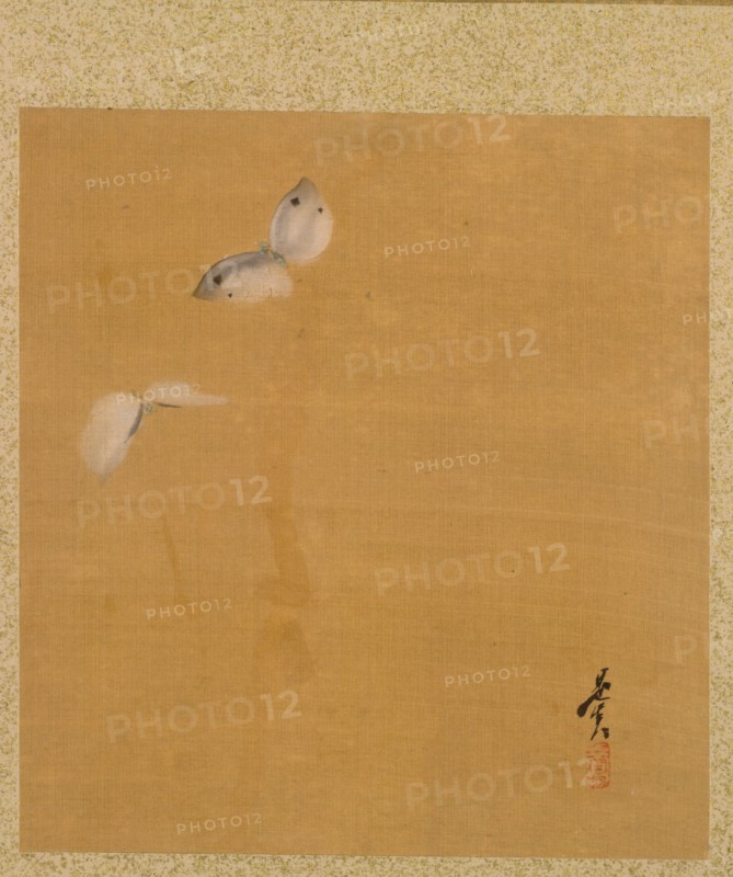Leaf from Album of Seasonal Themes: Maple Leaves and Feather, 1847. Shibata Zeshin (Japanese, 1807-1891). Album; ink, color, and gold on silk; each leaf: 19.7 x 18.4 cm (7 3/4 x 7 1/4 in.).