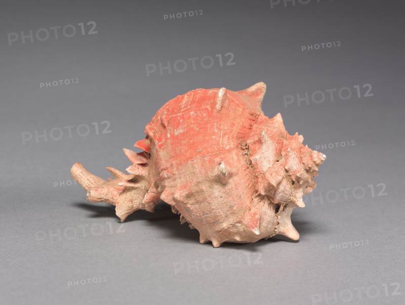 Offering Group: Large Shell, c. 800-1200(?). Mexico, Guerrero(?), San Jerónimo de Juárez, Xochicalco style. Shell, red pigment; overall: 12 cm (4 3/4 in.).