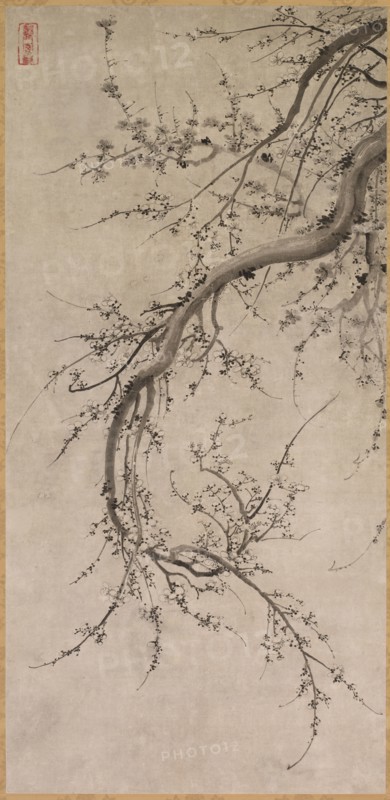 Prunus, 17th century. Attributed to Kano Eino (Japanese, 1631-1697). Hanging scroll; ink on paper; painting only: 125 x 60.5 cm (49 3/16 x 23 13/16 in.); including mounting: 224.6 x 81.9 cm (88 7/16 x 32 1/4 in.).